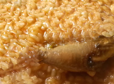 Arroz con Perdiz Arroz con perdiz, arroz meloso con perdiz, receta de arroz con perdiz